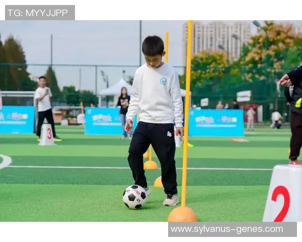 足球明星训练方式的多样性与科学性探讨